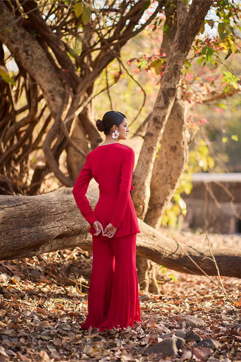Crimson Diary Sharara Set