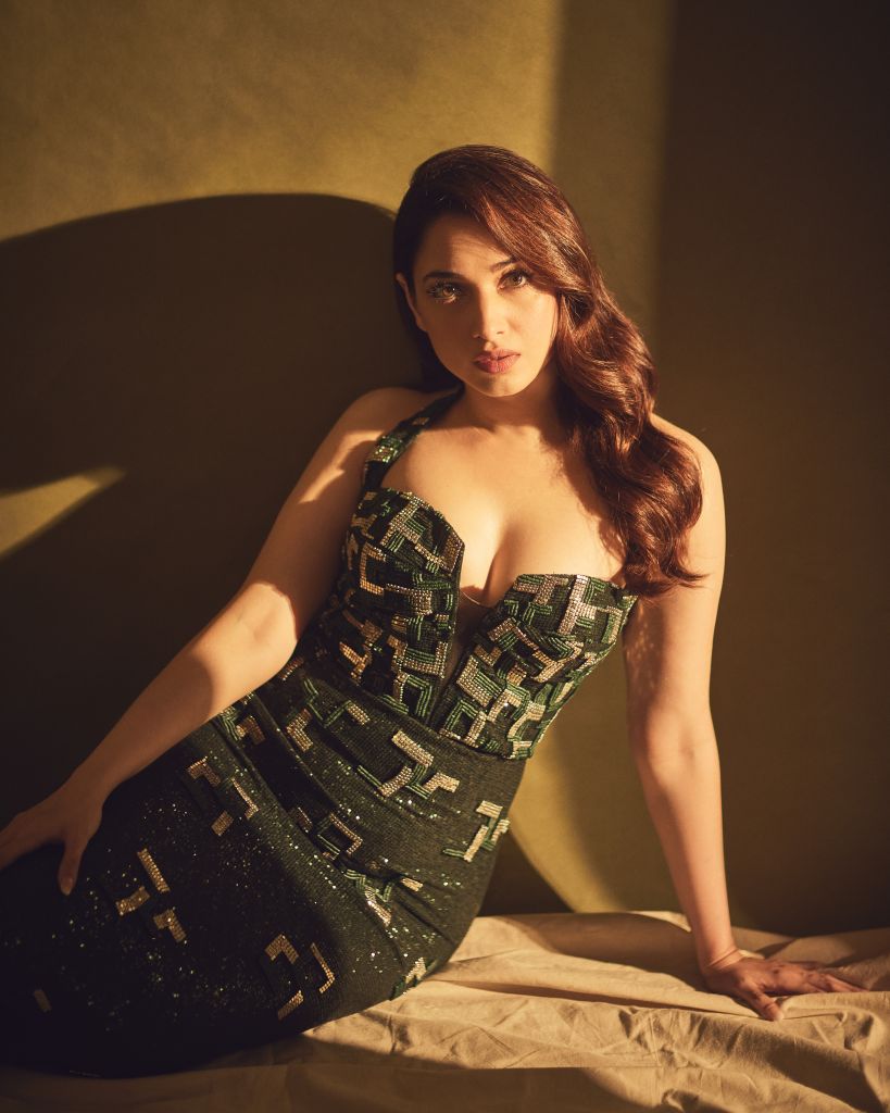 Embriodered Cocktail Gown