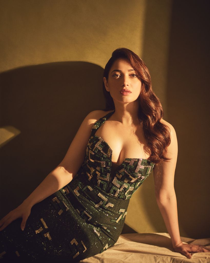 Embriodered Cocktail Gown